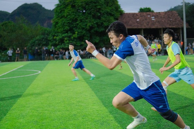 分析过类似 分析过类似