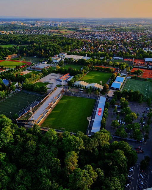 他们个人努 他们个人努