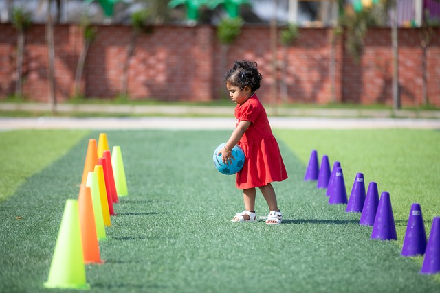 案例分析 案例分析