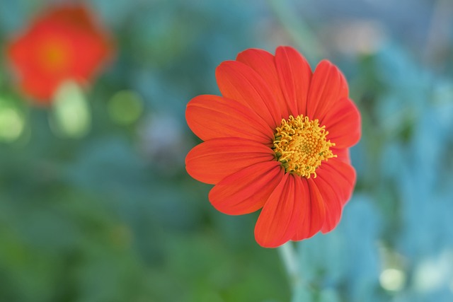 他并非单纯 他并非单纯