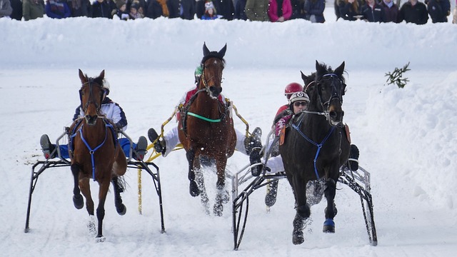 不懈的努力 不懈的努力