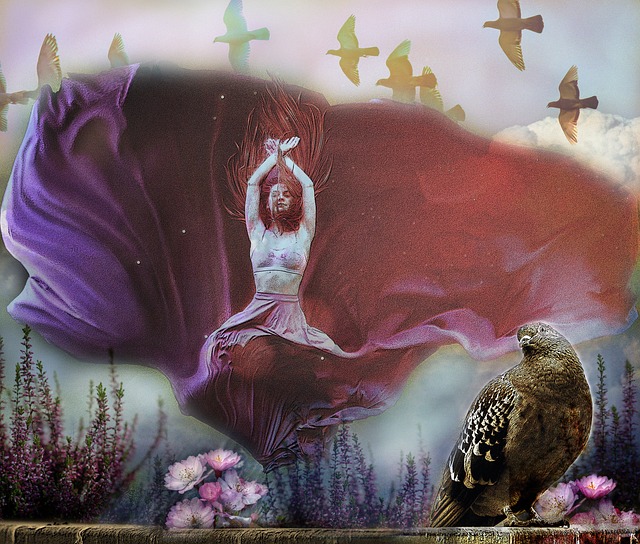 他们能提供 他们能提供