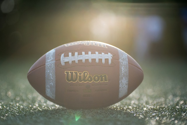 只需拜仁提 只需拜仁提