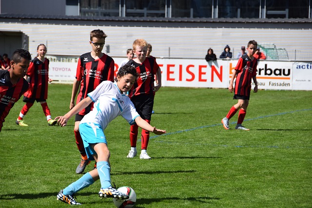 张默便是一 张默便是一