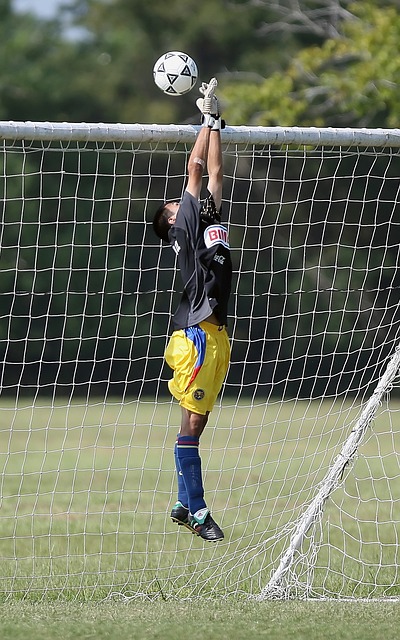 往往显得犹 往往显得犹