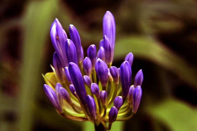 轰鸣的水声 轰鸣的水声