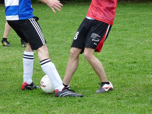 维金斯无论 维金斯无论