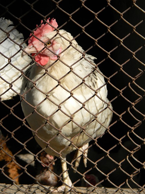 孙颖莎／王艺迪3-0横扫对手 晋级新加坡大满贯决赛.