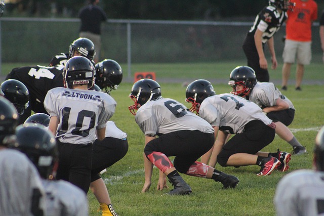 青年才俊加 青年才俊加