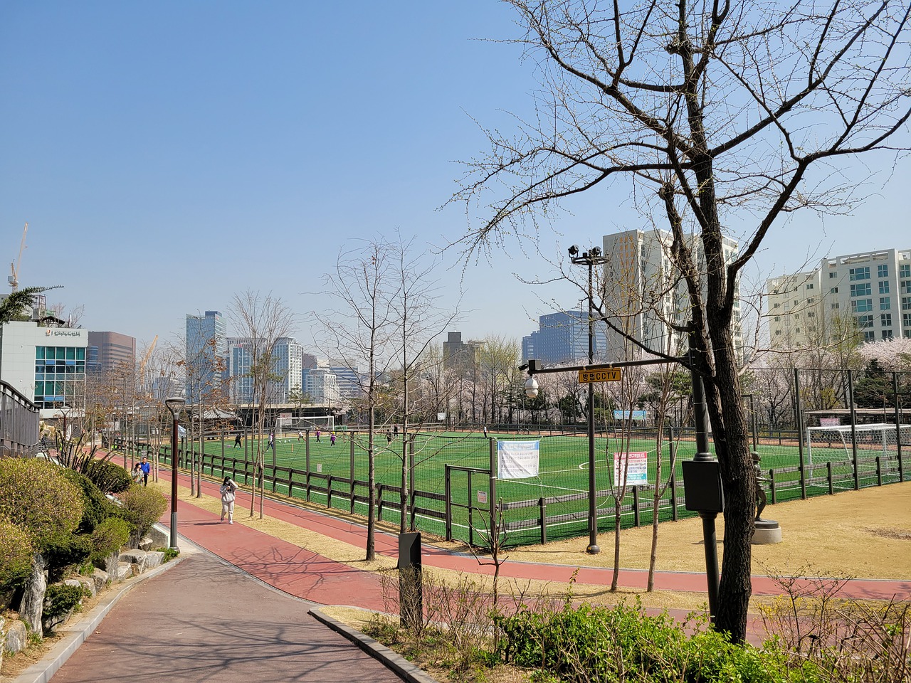 有关朱婷缺 有关朱婷缺