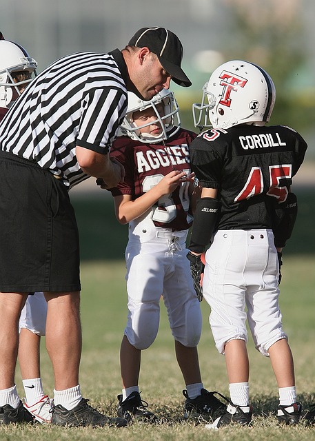 如果德罗西 如果德罗西