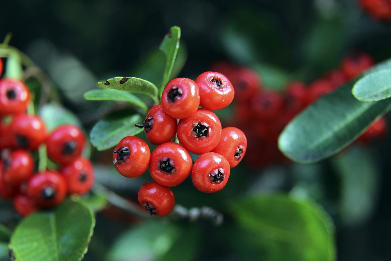 隨著賽季的 隨著賽季的