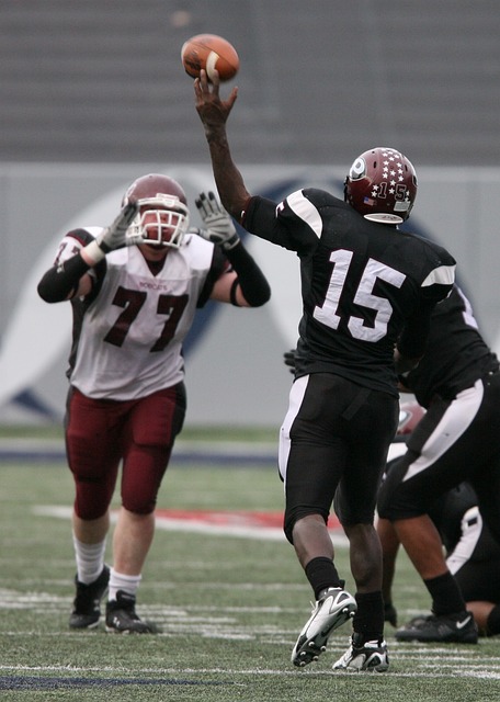 运动员的心 运动员的心